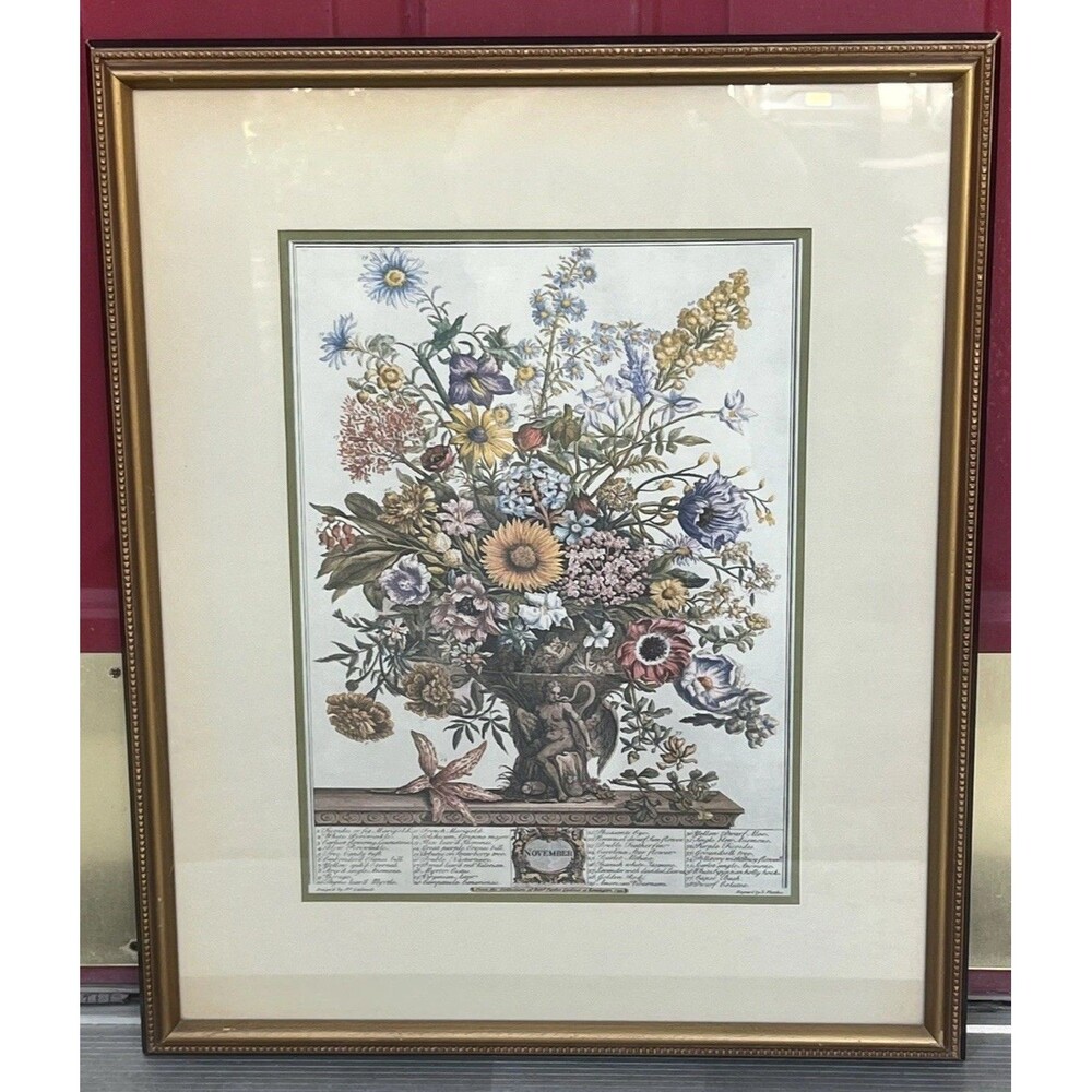 Vintage NovemberBotanical Print by Robert Furber Twelve Months Of Flowers 1964